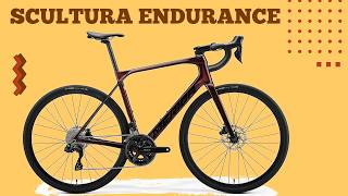 2025 MERIDA SCULTURA ENDURANCE 6000 Di2 £3300  Buyers Guide [upl. by Ycniuq]