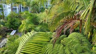 Scenic Hotel  Paihia  Bay of Islands [upl. by Zara47]