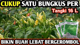 🔴 PUPUK DAUN AGAR BUAH BERGEROMBOL BEBAS RONTOK infopertaniancabe [upl. by Htide31]