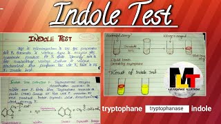 Indole test ।। Definition principle procedureuses of Indole test।। [upl. by Attena756]