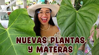 Nuevas plantas macetas hermosas y regalos de seguidores │ Candy Bu [upl. by Olegnalehcim]