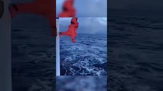 North Sea Most Dangerous Sea in the World  shortsvideo northsea sealife jobs viral [upl. by Yonit]