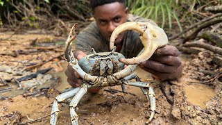 GIANT SWAMP CRAB CATCH AND COOK [upl. by Eicyal]