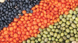 AgweekTV National Comittee Recommends Adding More Edible Beans to Diet [upl. by Ellita157]