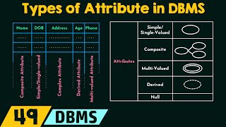 Types of Attribute in DBMS [upl. by Morganstein]