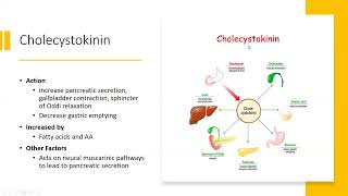 Gastrointestinal and Nephrology Physiology NPLEX I Review 2023 [upl. by Hardman]