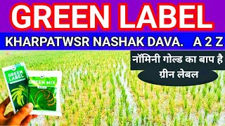 green label herbicide full details  ग्रीन लेबल खरपतवार नाशक दवा AmitBeejBhandarM [upl. by Notluf]