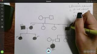 Genotypes and pedigrees [upl. by Aicilf]