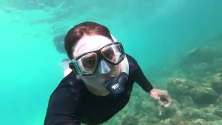 Snorkeling na Ilha Grande [upl. by Johansen]