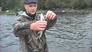 Fishing the Arrowhead Cadotte Lake [upl. by Carmella]