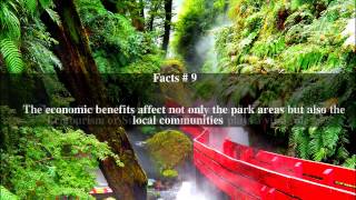 Ecotourism in the Valdivian Temperate Rainforest Top  13 Facts [upl. by Atiniv721]