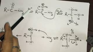 Mechanism of Hydrolysis of Cyanides Nitriles By Dr Manu Kaushal [upl. by Aikkan]