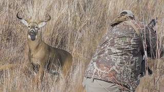 I Ran Into This BUCK Stalking a Different DEER Raw Edit [upl. by Kepner]