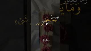 يارب امور ميسره وقلب مطمئن🤎قران quran اجرليولك لايك اكسبلور [upl. by Shear]