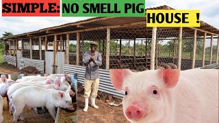 Cost Of Building NoSMELL PIG HOUSE  Simple And Secure [upl. by Aisor]