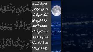 Surah al Rahman heart touching tilawat qurankareem quranrecitation [upl. by Ecyned]