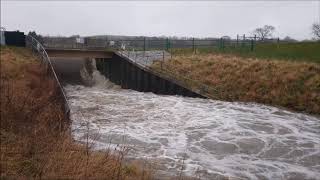 A very full River Dearne at Darfield [upl. by Claudelle719]