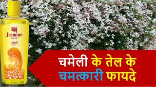 Health amp Beauty Benefits of Chameli Oil  चमेली के तेल से पाएं मसूड़ो के दर्द से छुटकारा  Health [upl. by Noraj]