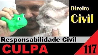 Direito Civil  Aula 117  CULPA Elementos da Responsabilidade Civil É isso [upl. by Georgena]