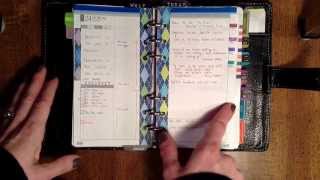 Focus On The Daily Pages DIYFish Lifemapping Inserts [upl. by Gnilrac]