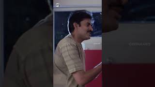 Jalsa Movie Scenes  pawankalyan ileanadcruz prakashraj brahmanandam  shortsvideo shorts [upl. by Diehl833]