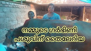 ഇപ്പോൾ അറിഞ്ഞതു ഭാഗ്യം theileria in our farmdiaryfarming [upl. by Vijnas926]