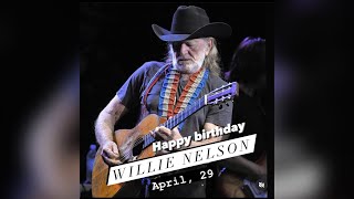 Willie Role Model  WILLIE NELSON  original song by Terry Stephenson [upl. by Allimaj]