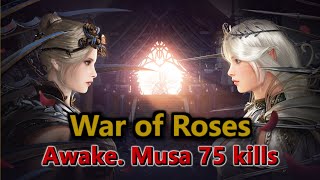 BDO  War of Roses  Awakening Musa  75 kills 7 deaths [upl. by Ahsiym]