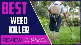 ✅ Best weed killers for lawns 2024 [upl. by Tate]