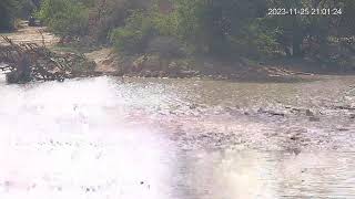 Tshukudu Game Lodge Live Stream [upl. by Irby]