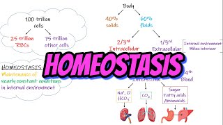 Homeostasis Chapter 1 part 1 Guyton and Hall Physiology [upl. by Ecirtal]