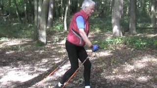 Nordic Walking Technik Anleitung Speed Power [upl. by Zina]