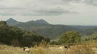 Figura de Protección Ambiental en la Sierra Sur Jaén [upl. by Adyela546]