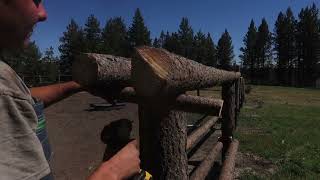 building a log gate Part 1 [upl. by Yssep]