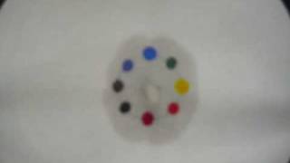 Chromatography Permanent Marker in Water [upl. by Nestor]