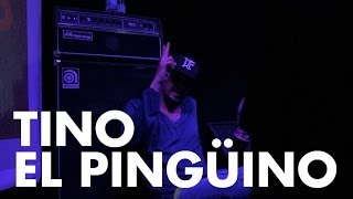 🐧 Tino El Pinguino ↭ Midori video en vivo  Sólo Heads 2 HipHop Fest [upl. by Aysan]