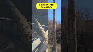 Cellular Trail Cam Antenna HACK for MAXIMUM Range [upl. by Aineg]