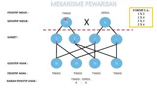 Sains Tingkatan 4 KSSM I BAB 5 I Mekanisme Pewarisan Mendel [upl. by Yung]