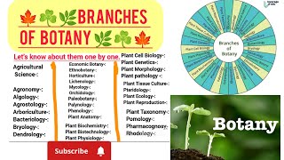 Branches of botany 🌿☘️🍁 scienceBiologyBotany 🌿 [upl. by Lait178]