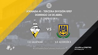 CD GALAPAGAR VS AD ALCORCÓN quotBquot  Jornada 41  Tercera División RFEF [upl. by Leveroni749]