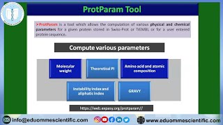 Protparam tool Protein Physical and Chemical Properties Practical Tutorial Hindi [upl. by Aidas]