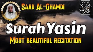 Surah Yasin Yaseen  By Sheikh Saad AlGhamdi  36 سورة يس  most beautiful recitation [upl. by Autrey]