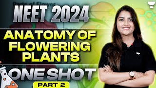 Anatomy of Flowering Plants  One shot  Part 2  NEET 2024  Seep Pahuja [upl. by Thais]