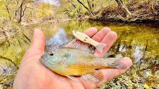 GORGEOUS City Creek amp Small Swimbait ACTION Fort Worth BFS Angling [upl. by Abisia]