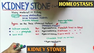 Kidney problems  Kidney stone  Lithotripsy  class 12 Biology [upl. by Spooner238]