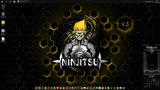 Ninjitsu OS v3 kali or windows [upl. by Esilahs]