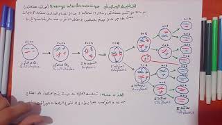 الحصة 5 التخليط البيصبغي Brassage interchromosomique [upl. by Dis]