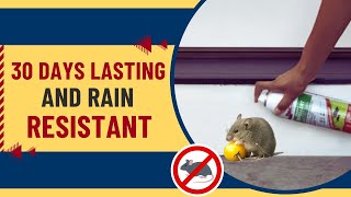 Tom Cat Rodent Repellent Spray  Safe For Use Around Kids And Pets [upl. by Hake]