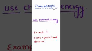 CHEMOAUTOTROPHS  defination and example neet [upl. by Anelhtac]