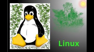 Linux  Comandos no Terminal Parte 5 lsblk  blkid  mount  umount  free [upl. by Greenland]